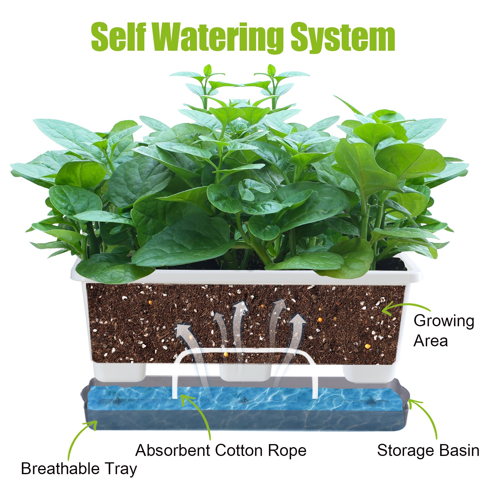 OLiz Window Box Planter 8 Pcs, 17 Inches Rectangle Flower Pots with Drainage Holes and Trays, Vegetable Planters for Windowsill Patio Garden Balcony Home Porch Yard Indoor Outdoor (White)--SC11