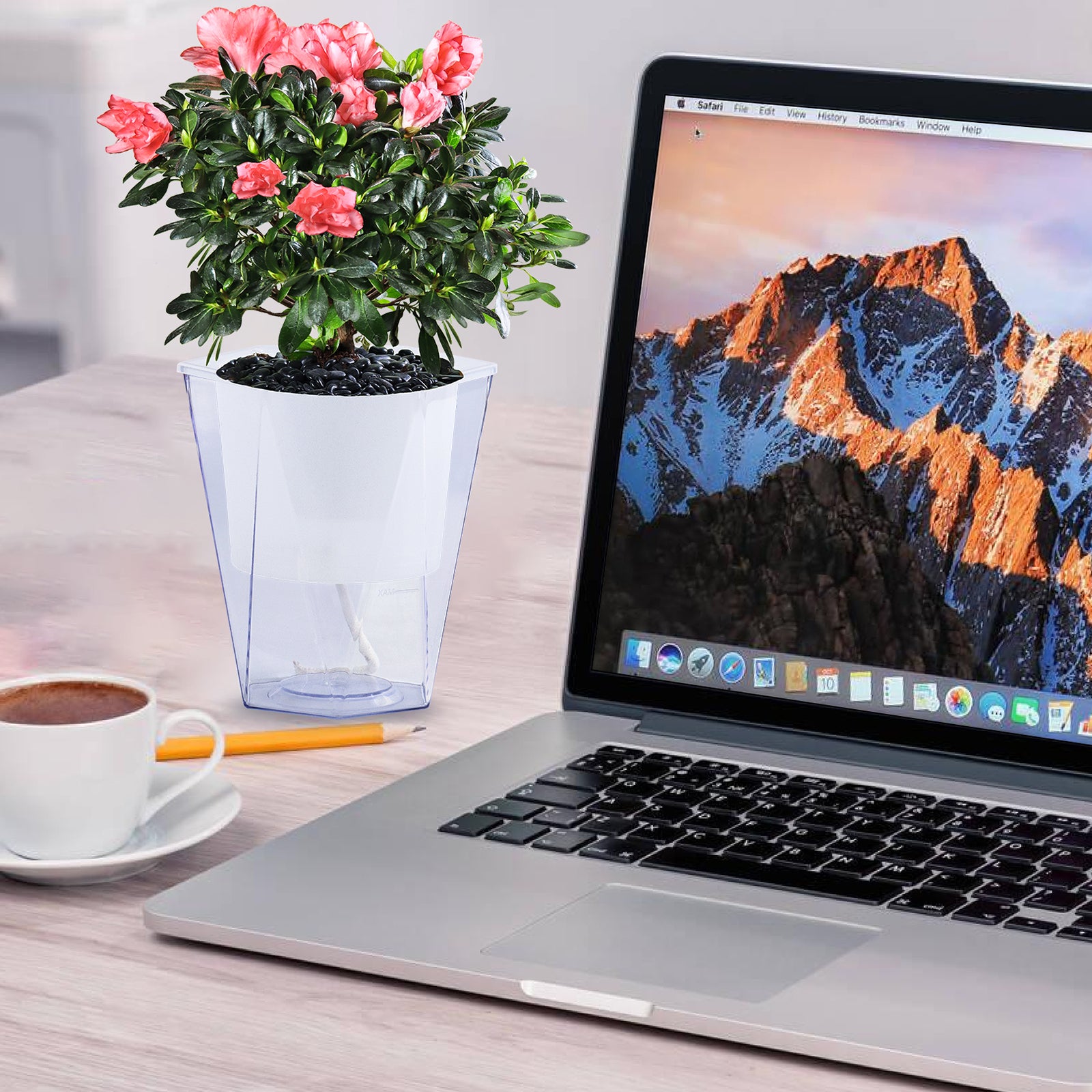 OLiz Self Watering Planter 5 Pcs, 4.5 Inch Flower Plant Pot with Transparent Inner Pot, Gardening Flowerpot with Watering Can, Indoor Self Watering Planter Pot for Herbs, Flowers (Green)/(White) U05