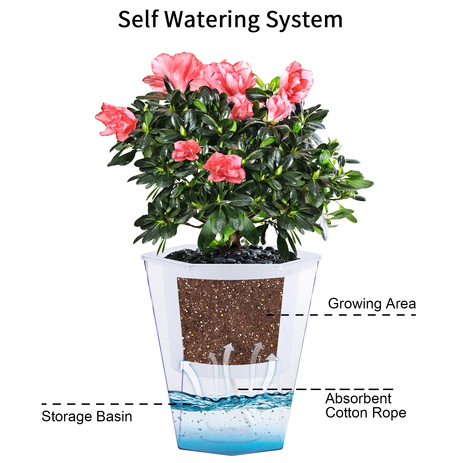 OLiz Self Watering Planter 5 Pcs, 4.5 Inch Flower Plant Pot with Transparent Inner Pot, Gardening Flowerpot with Watering Can, Indoor Self Watering Planter Pot for Herbs, Flowers (Green)/(White) U05