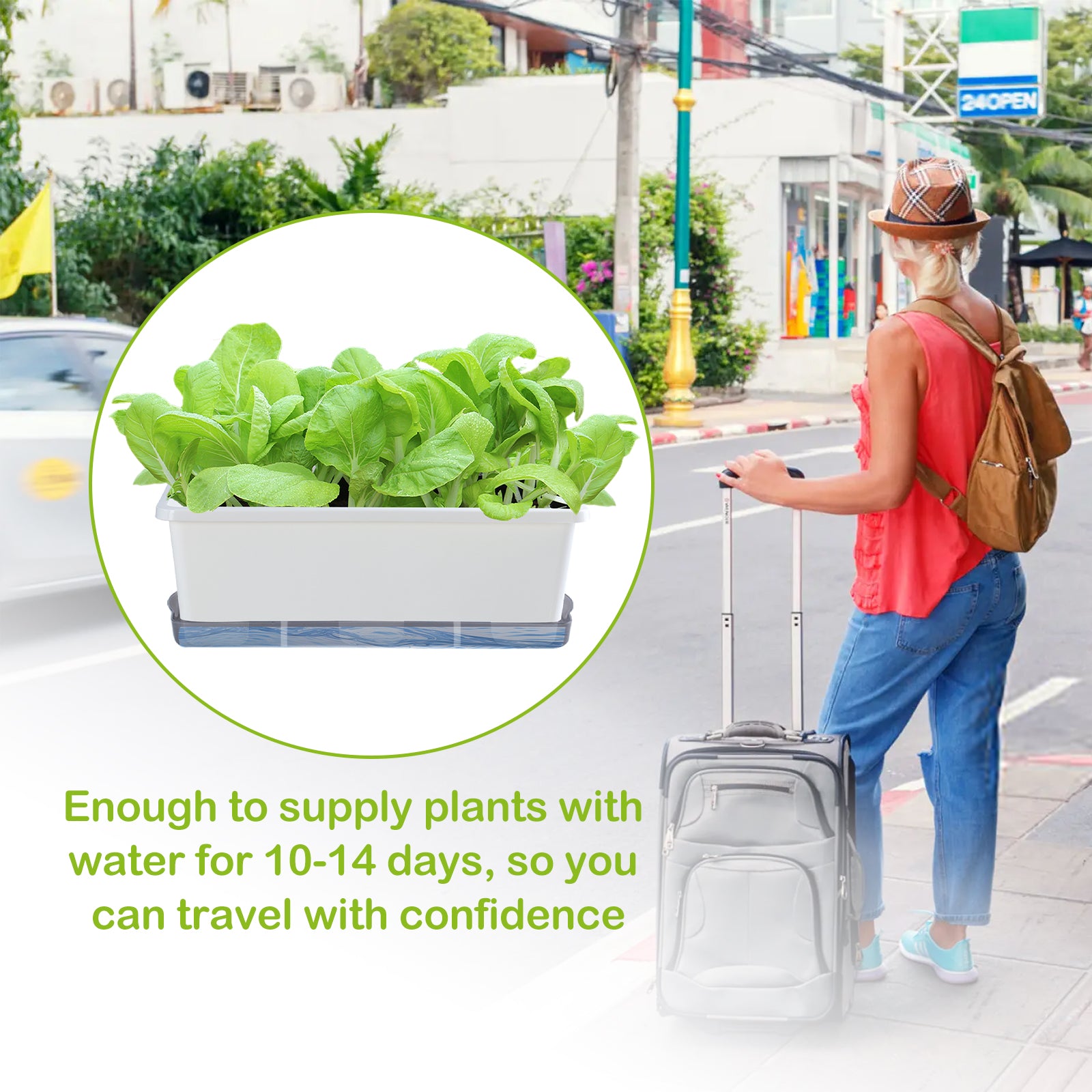 OLiz Window Box Planter 8 Pcs, 17 Inches Rectangle Flower Pots with Drainage Holes and Trays, Vegetable Planters for Windowsill Patio Garden Balcony Home Porch Yard Indoor Outdoor (White)--SC11