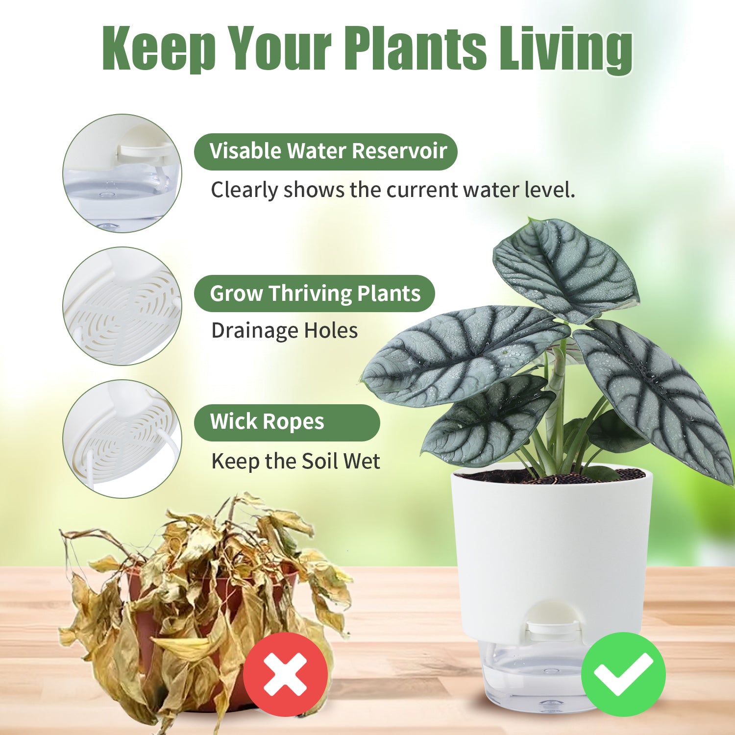 OLiz Plant Pots Indoor 3 Packs Self Watering Pots for Indoor Plants 4.9 inchs, African Violet Pots Planter with Visible Reservoir Self Watering Planter for Herb, House Plant Planting--A710