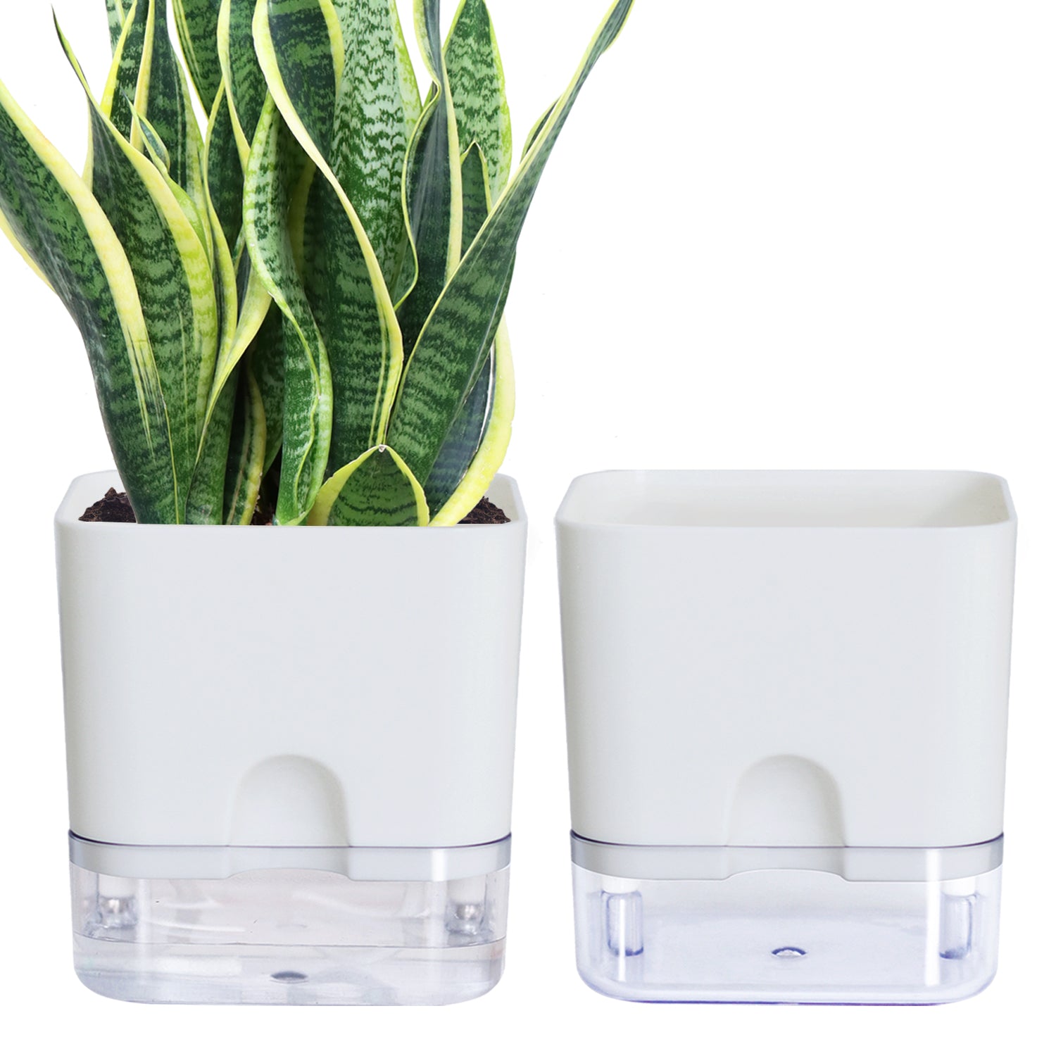 OLiz Plant Pots Indoor 2 Packs Self Watering Pots for Indoor Plants, African Violet Pots Planter with Visible Reservoir Self Watering Planter for Herb, House Plant Planting--G205 4.25 inches/ G207 5.5 inches