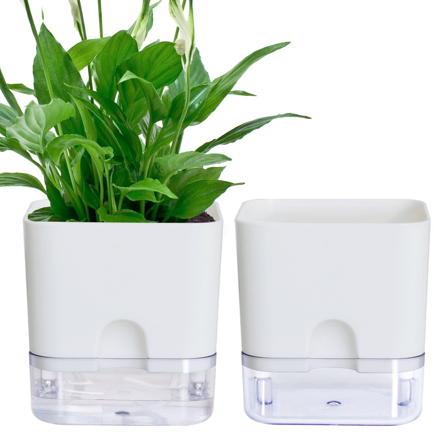 OLiz Plant Pots Indoor 2 Packs Self Watering Pots for Indoor Plants, African Violet Pots Planter with Visible Reservoir Self Watering Planter for Herb, House Plant Planting--G205 4.25 inches/ G207 5.5 inches