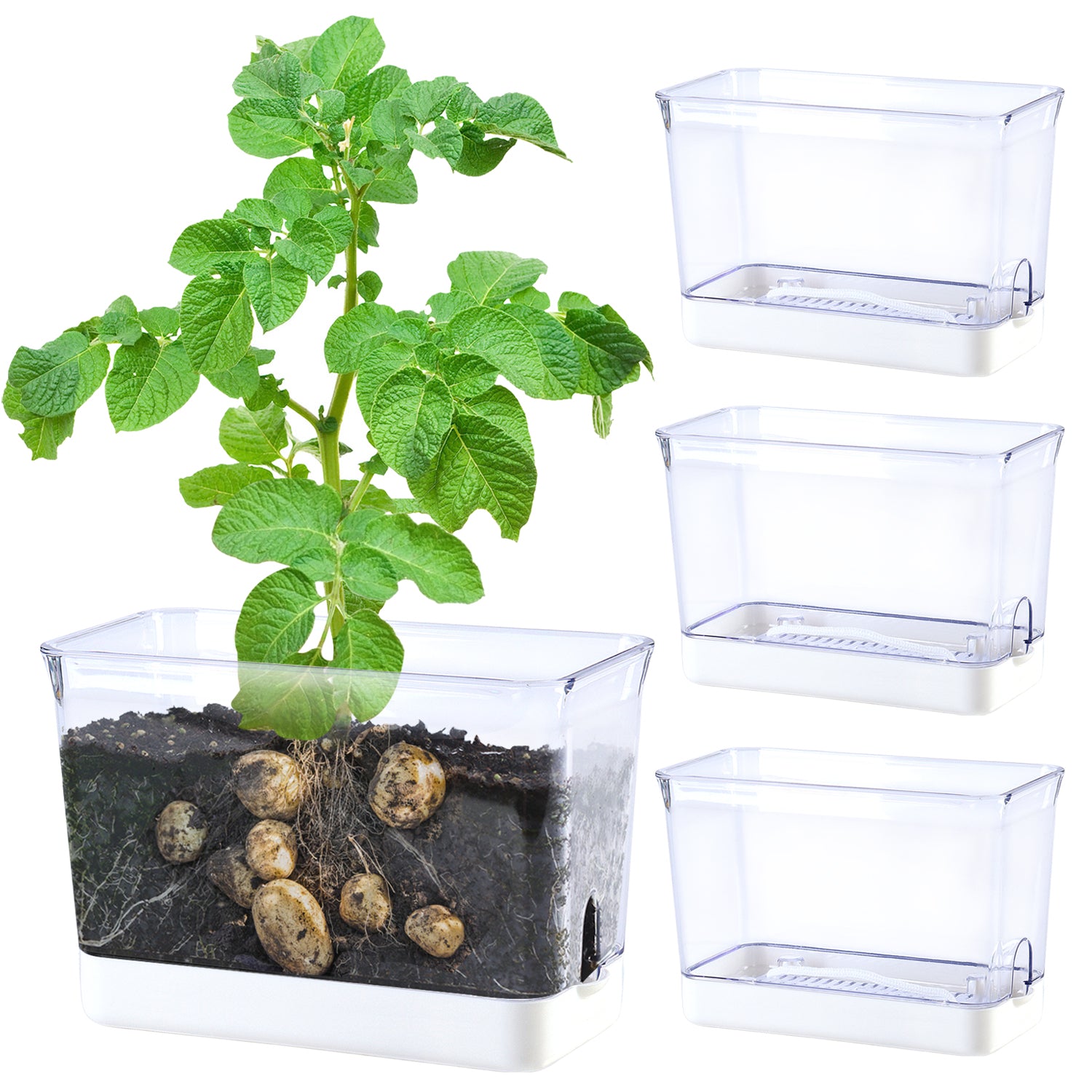 OLiz Self Watering Planter, Rectangular Self-Watering Clear Planters Box for Devil&