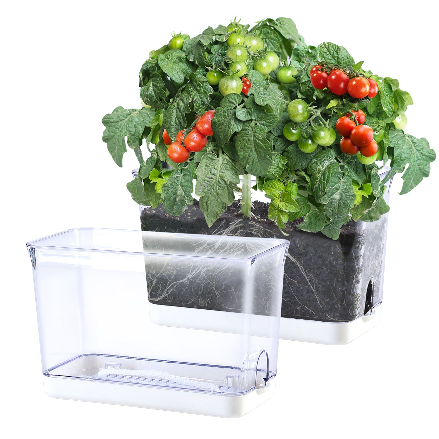 OLiz Self Watering Planter, Rectangular Self-Watering Clear Planters Box for Devil&