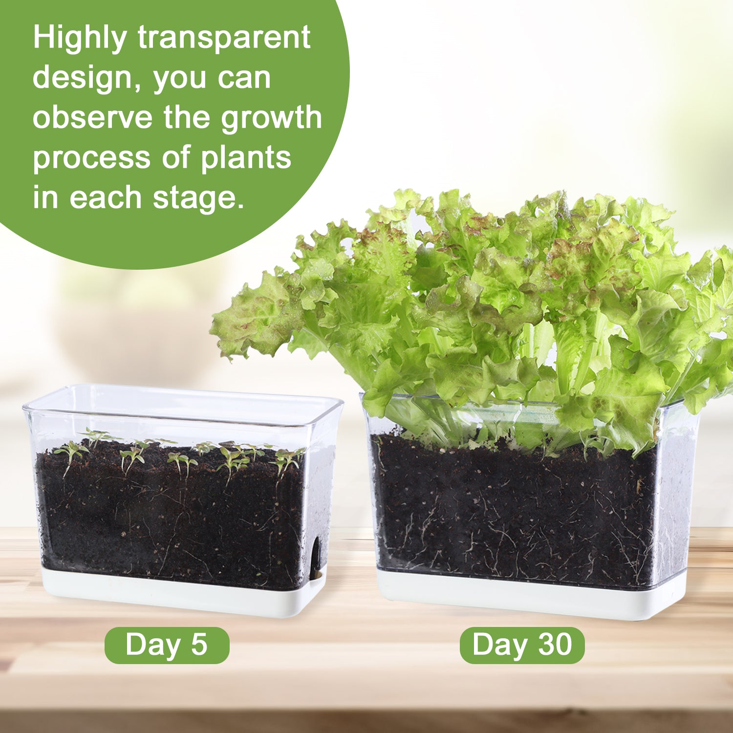 OLiz Self Watering Planter, Rectangular Self-Watering Clear Planters Box for Devil&