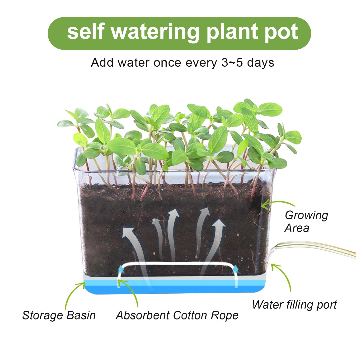 OLiz Self Watering Planter, Rectangular Self-Watering Clear Planters Box for Devil&