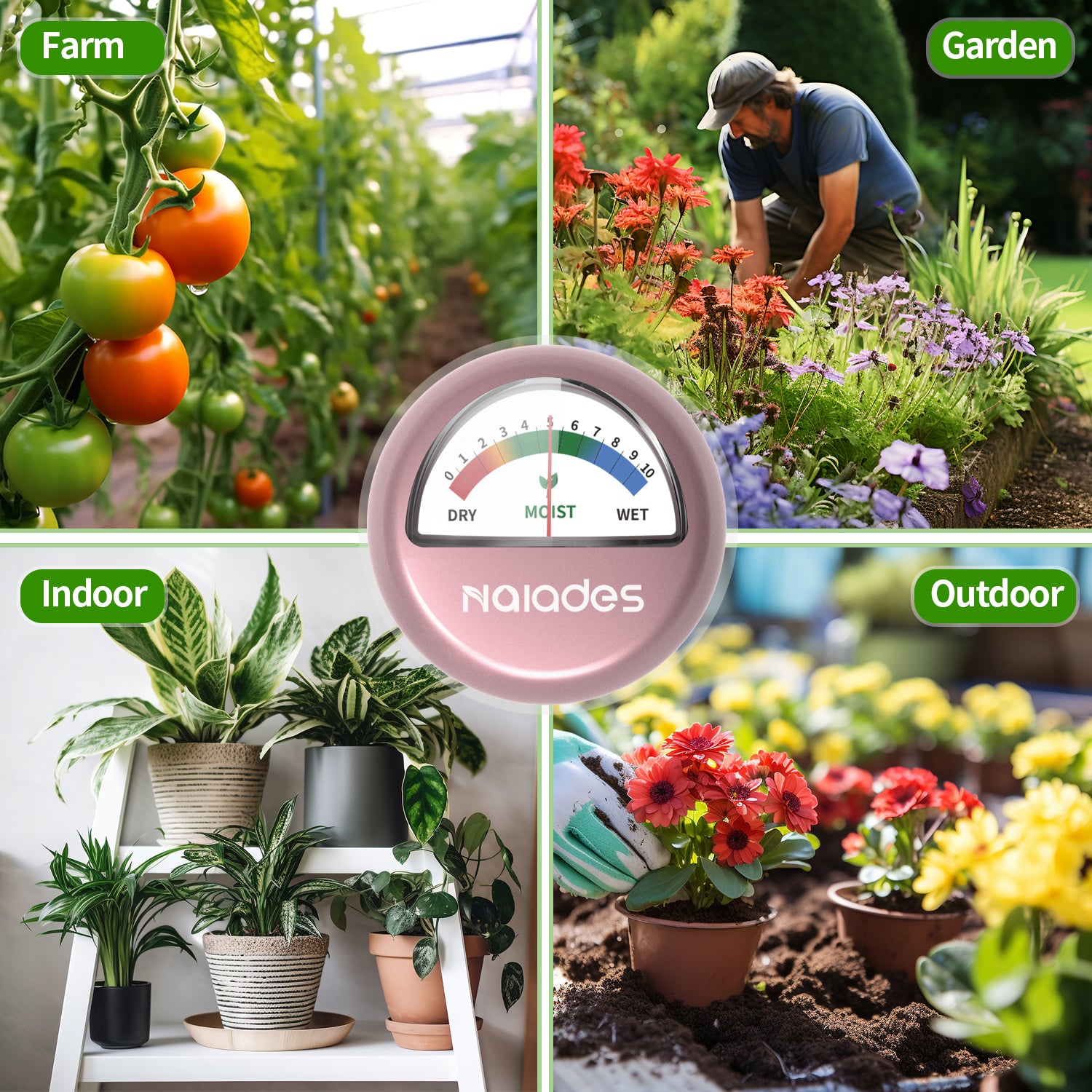 Naiades Soil Moisture Meter, Naiades Rose Gold Plant Hygrometer Sensor Water Monitor for Farming Gardening Indoor Outdoor Plants (No Batteries Needed)--P405