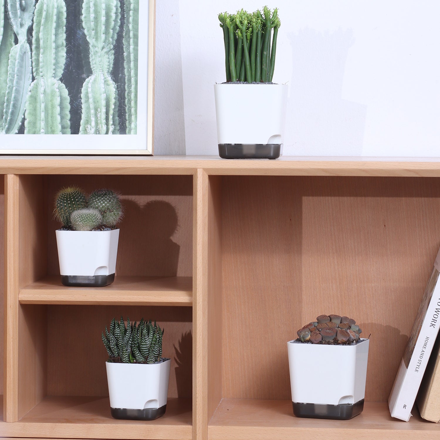 OLiz 3.9 Inch Plant Pots Set of 6, White Small Plastic Planters, Succulent Pots, Nursery Pots, Flower Pots DIY for Indoor Cactus Herb Flowers (Plants Not Included)--Medium Pots 6 Pack T104