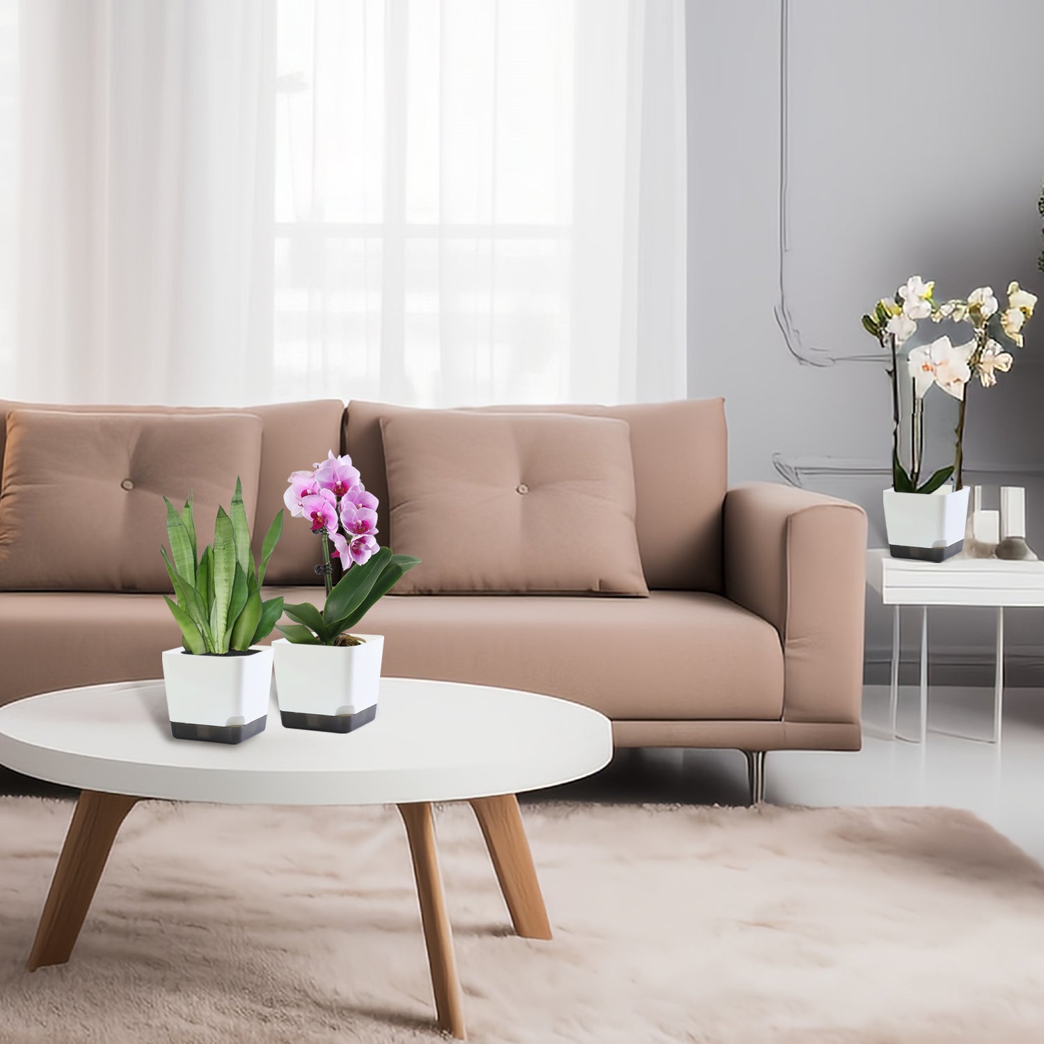 OLiz 3.9 Inch Plant Pots Set of 6, White Small Plastic Planters, Succulent Pots, Nursery Pots, Flower Pots DIY for Indoor Cactus Herb Flowers (Plants Not Included)--Medium Pots 6 Pack T104