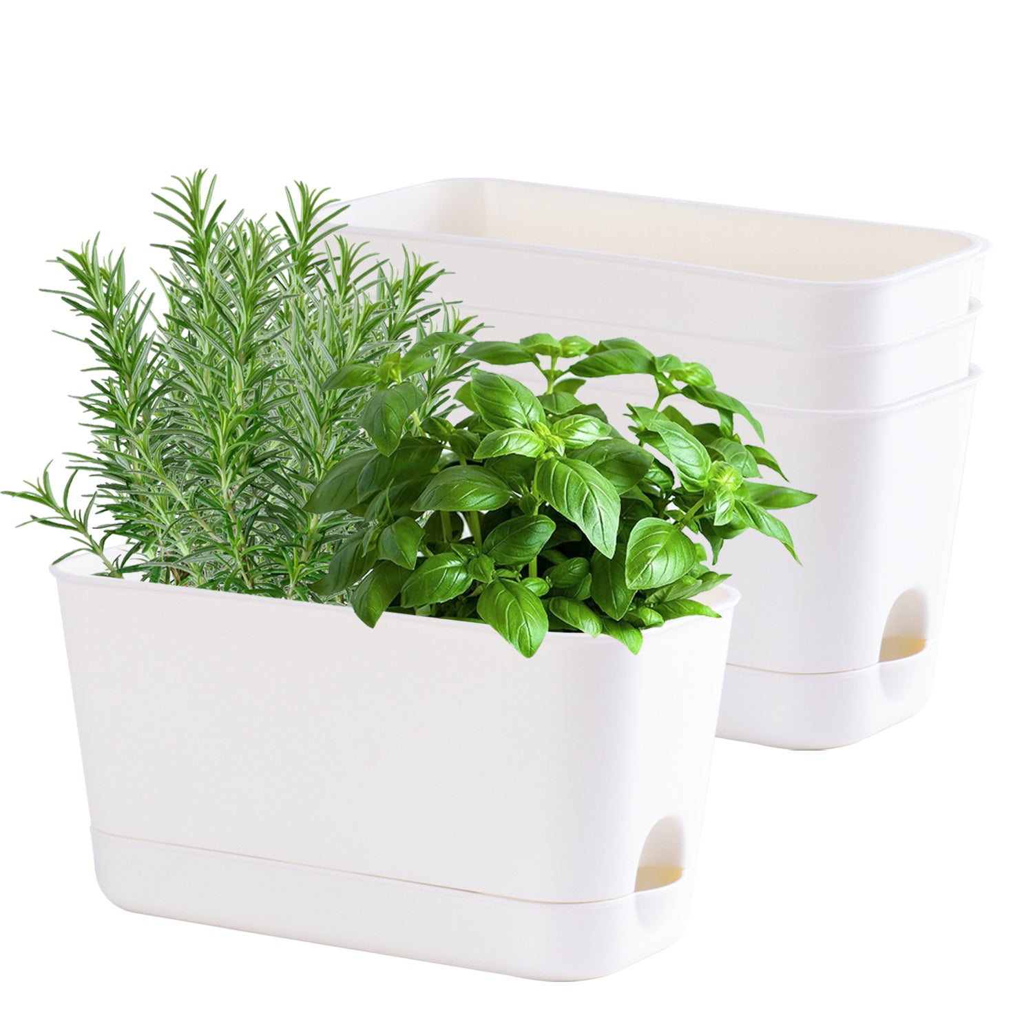 Oliz Herb Garden Planter Indoor Kit Self Watering Pots for Indoor/Outdoor Plant, Windowsill Plant Pots with Drainage and Tray, Window Pot for Indoor Plants,2 Packs/ 4 Packs T106/ T107