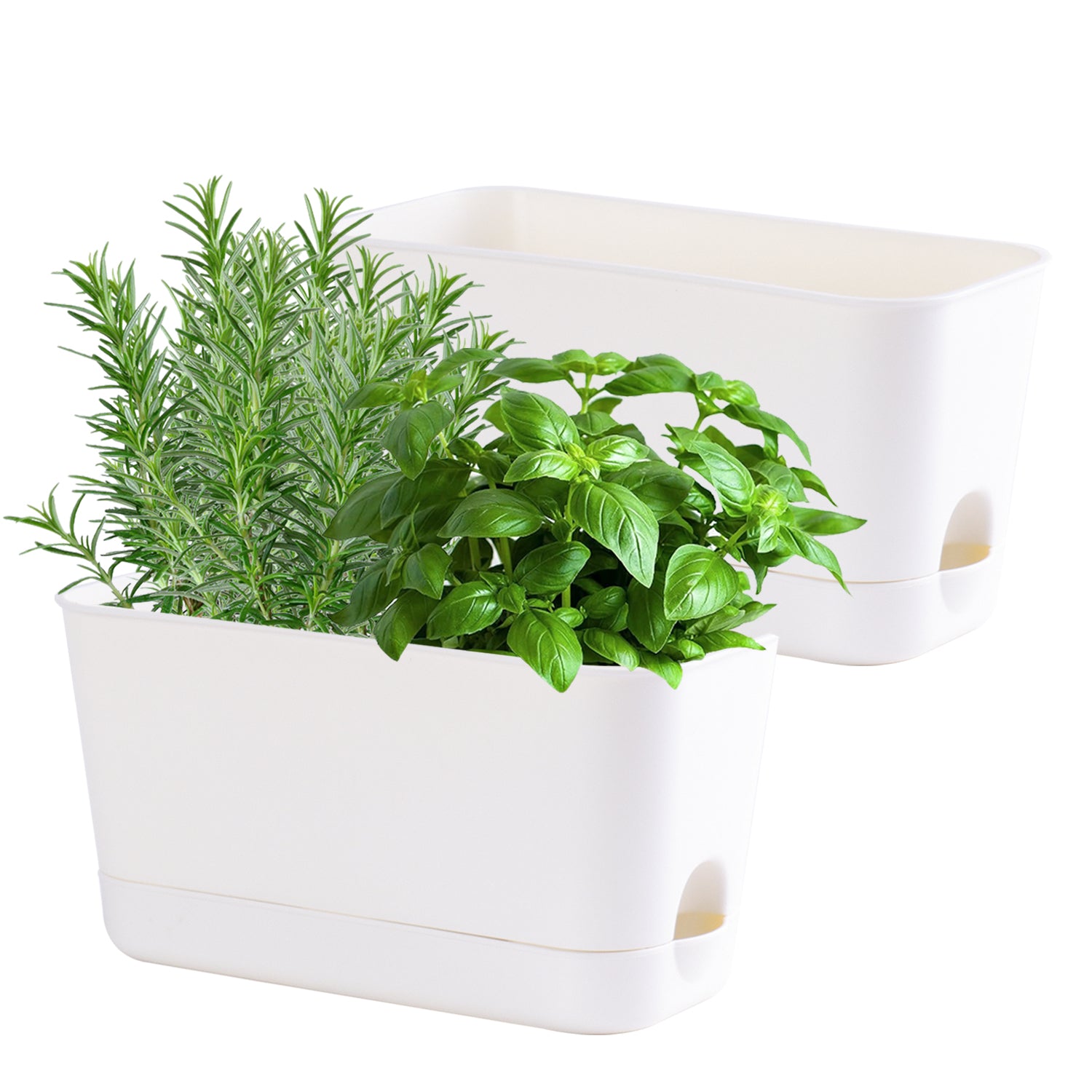Oliz Herb Garden Planter Indoor Kit Self Watering Pots for Indoor/Outdoor Plant, Windowsill Plant Pots with Drainage and Tray, Window Pot for Indoor Plants,2 Packs/ 4 Packs T106/ T107