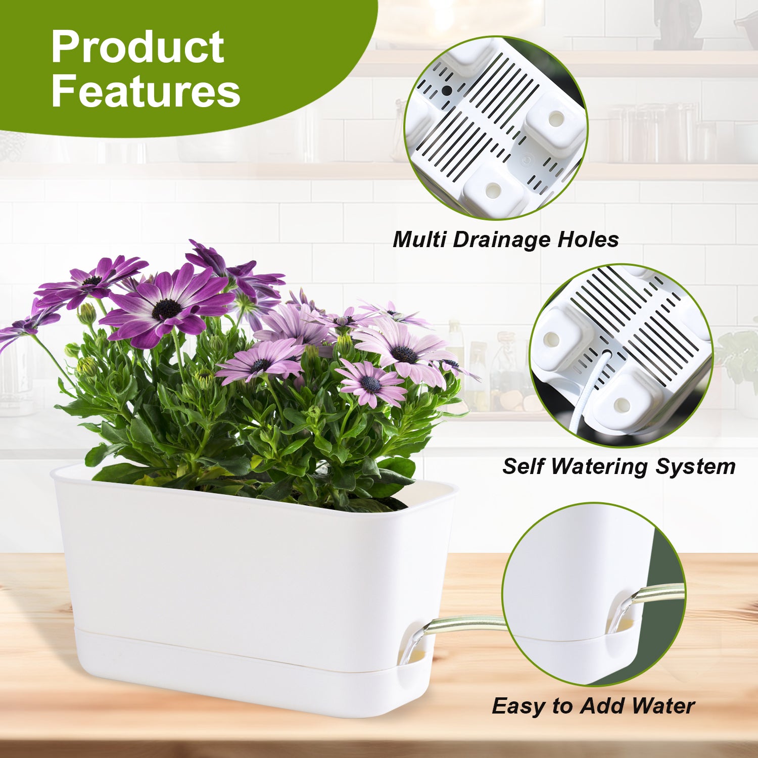 Oliz Herb Garden Planter Indoor Kit Self Watering Pots for Indoor/Outdoor Plant, Windowsill Plant Pots with Drainage and Tray, Window Pot for Indoor Plants,2 Packs/ 4 Packs T106/ T107