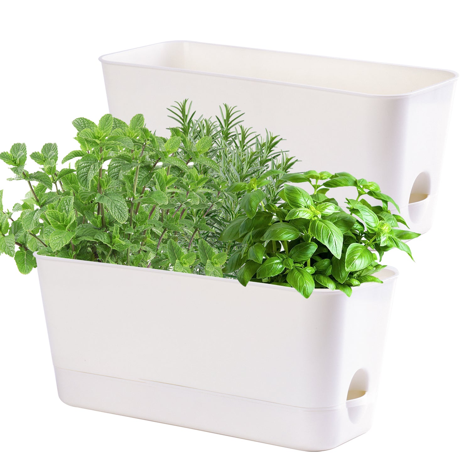 Oliz Herb Garden Planter Indoor Kit Self Watering Pots for Indoor/Outdoor Plant, Windowsill Plant Pots with Drainage and Tray, Window Pot for Indoor Plants,2 Packs/ 4 Packs T106/ T107