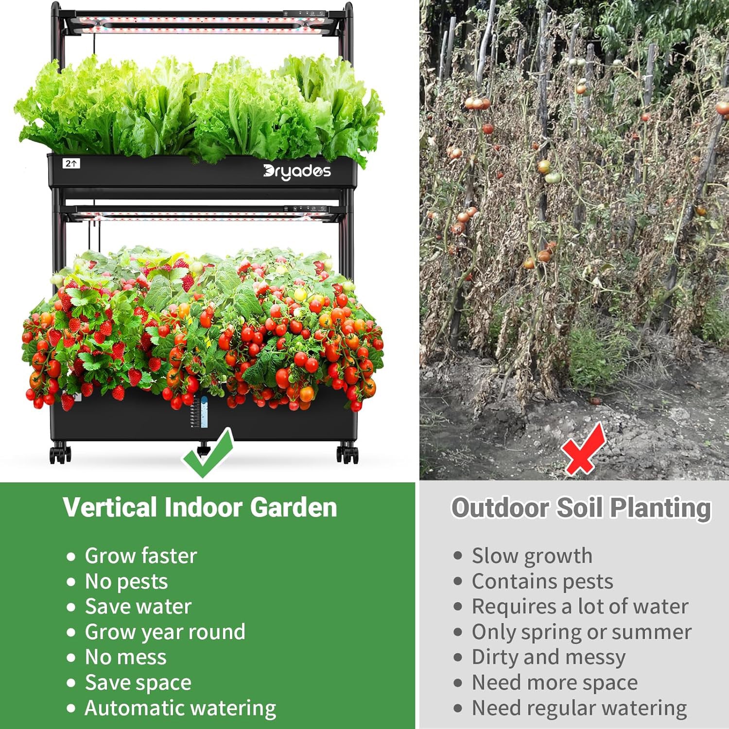 Dryades Large Hydroponics Growing System Kit, 60 Pods Vertical Hydroponic Garden with 2 Light Modes Grow Light, Auto Circulating Water System, 32L Indoor Gardening System for Herb Vegetable Fruit Z210-2L-BL