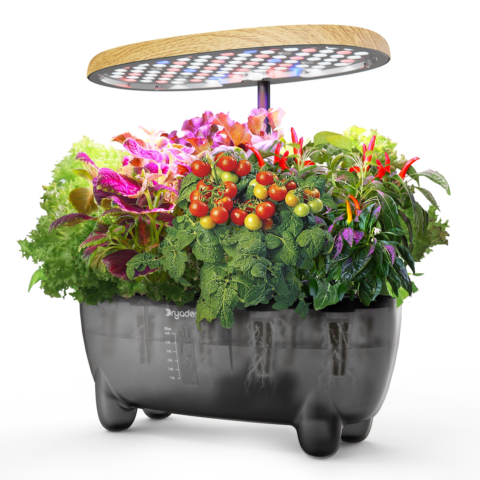 DRYADES Indoor Herb Garden Kit, Hydroponic Growing System with LED Grow Light Quiet Water Pump for Home Kitchen Office Healthy Fresh Herbs Vegetables, Gift Ideas for Women Men -Z237