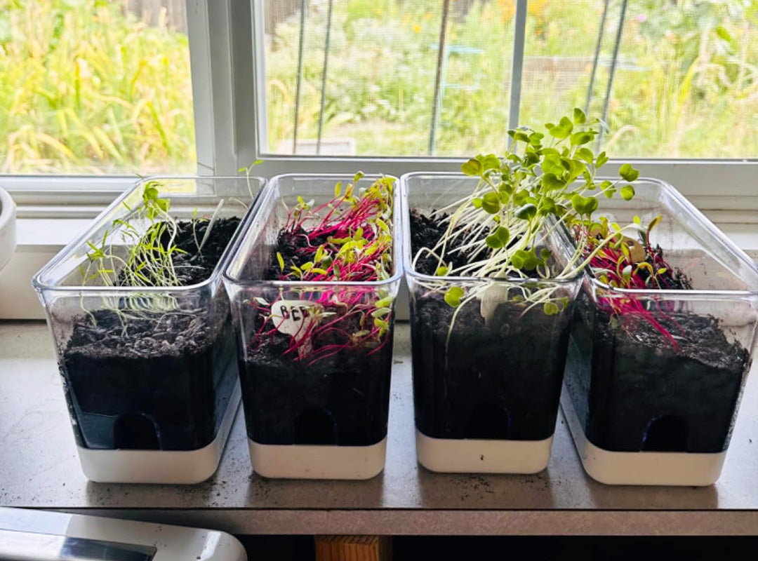 Durable, Sustainable, and Perfect for Year-Round Gardening