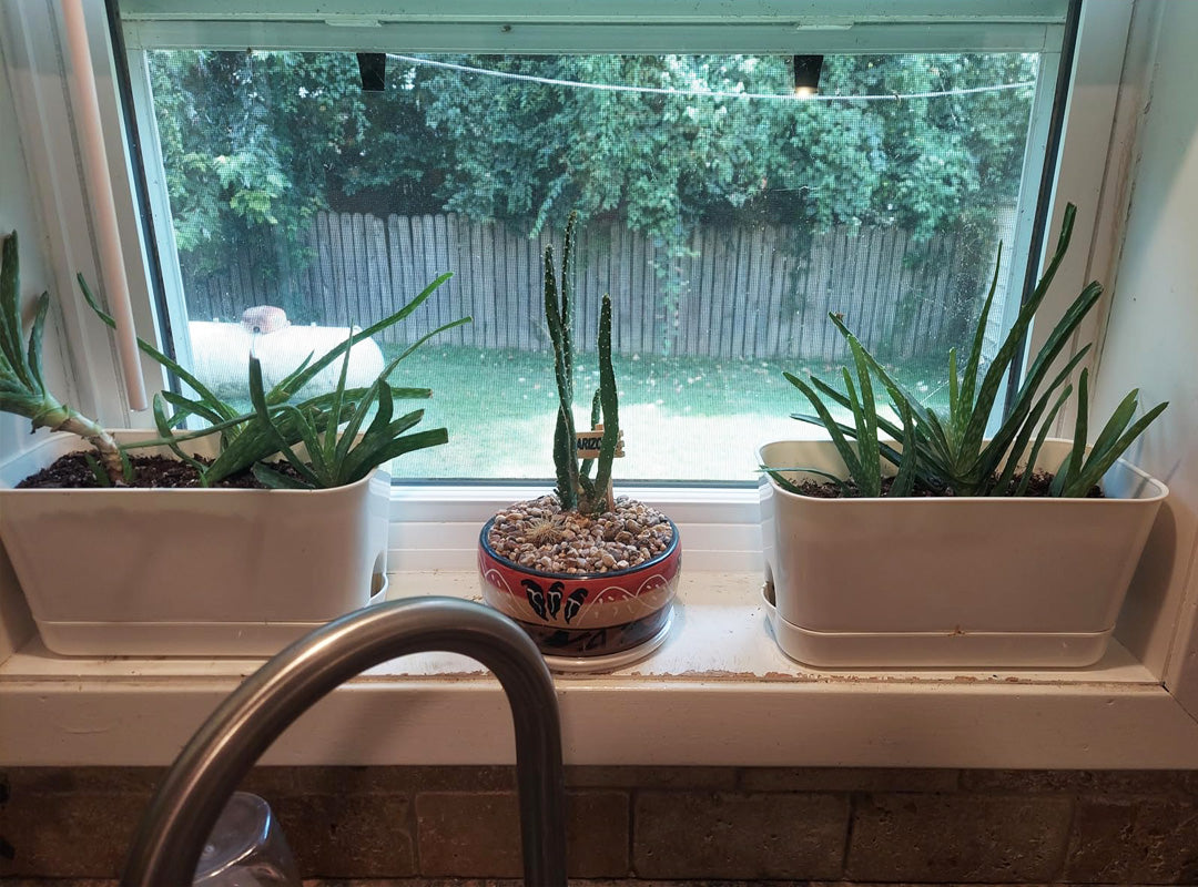 Durable, Sustainable, and Perfect for Year-Round Gardening