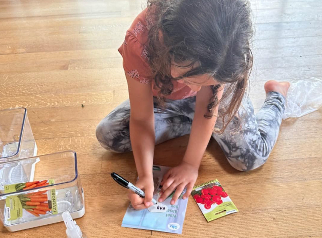 children have fun with garden life