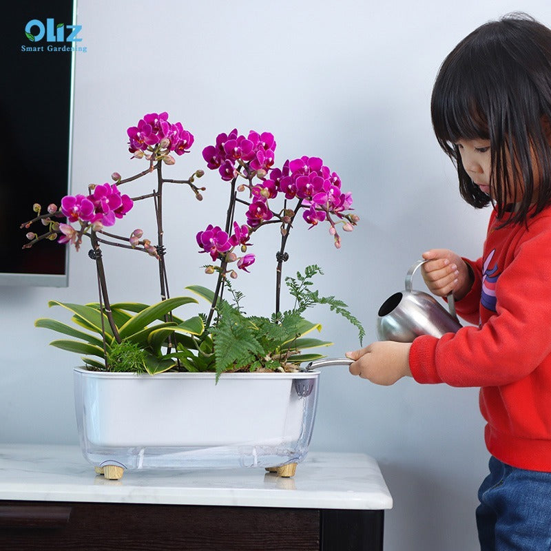 Indoor Smart Garden Supplier : A Beginners Guide Of Wholesale Smart Garden