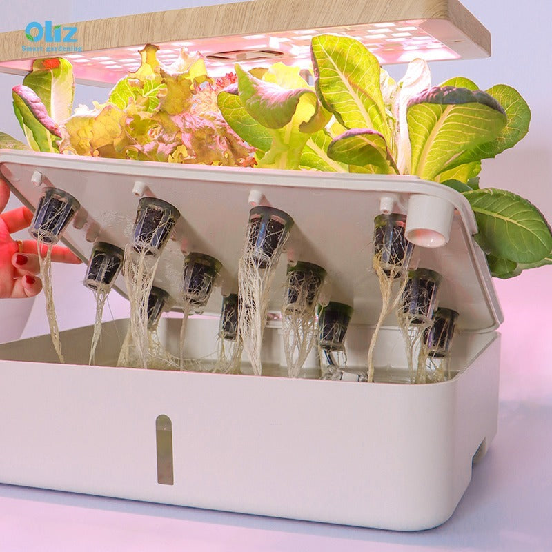 7 Most Popular Indoor Garden Systems You Should Own From Dryades garden