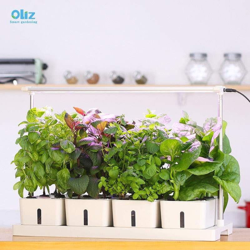 Hydroponics Growing System: Grow Delicious Herbs and Veggies Easily