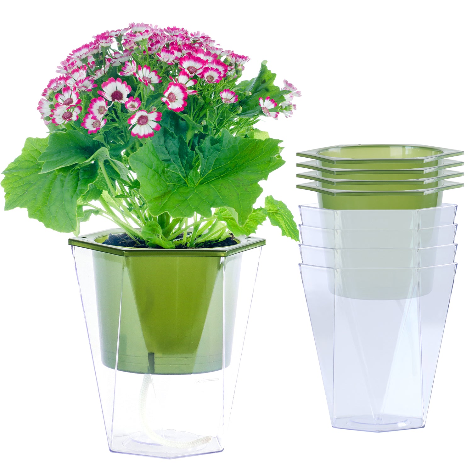 OLiz Self Watering Planter 5 Pcs, 4.5 Inch Flower Plant Pot with Transparent Inner Pot, Gardening Flowerpot with Watering Can, Indoor Self Watering Planter Pot for Herbs, Flowers (Green)/(White) U05