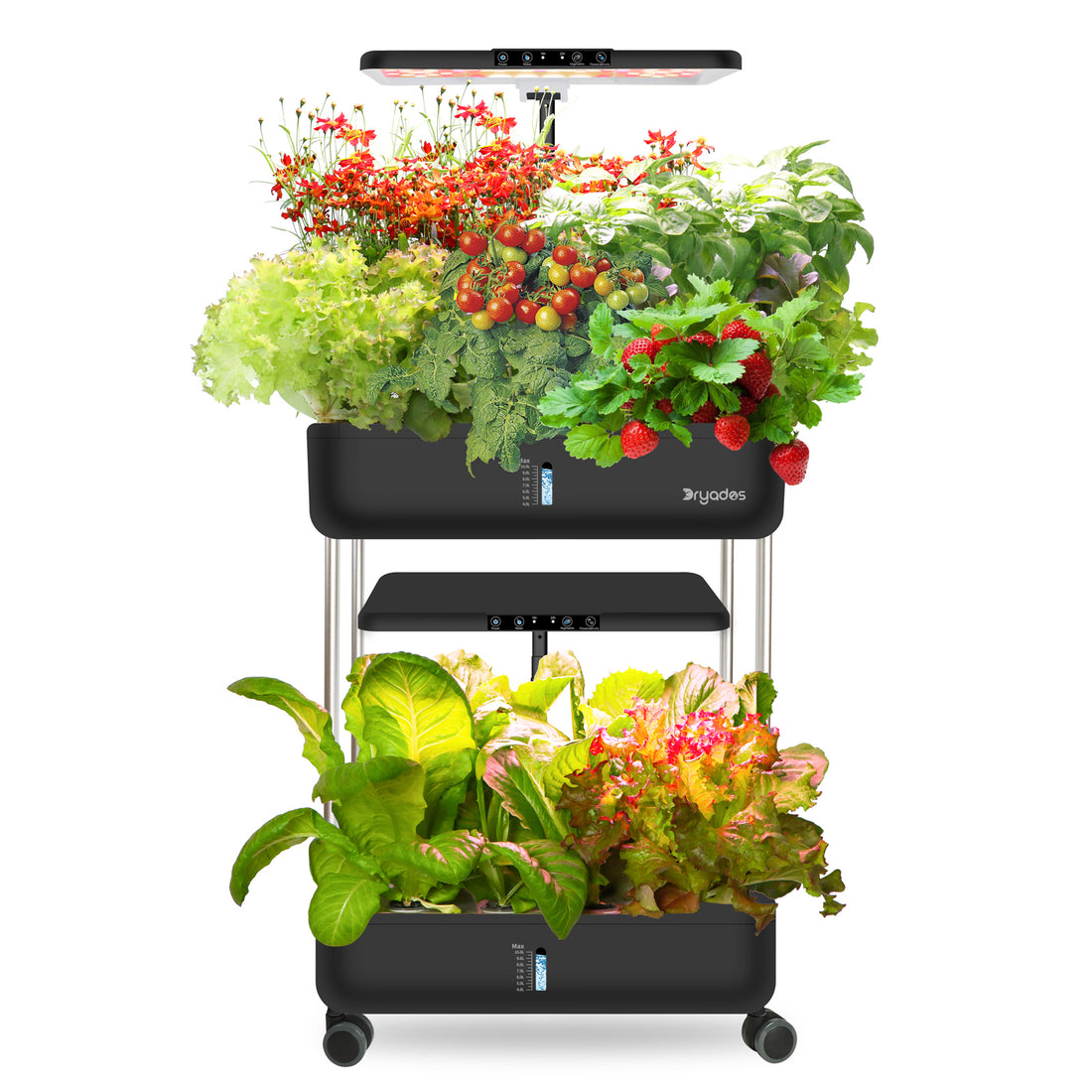 DRYADES 44 Pods Hydroponics Growing System, DRYADES Dual Layers Indoor Garden with LED Full Spectrum Grow Light, 2 × 13.3L Water Tanks, Height &amp; Angle Adjustable, Professional Smart Plant Germination Kits - Z243