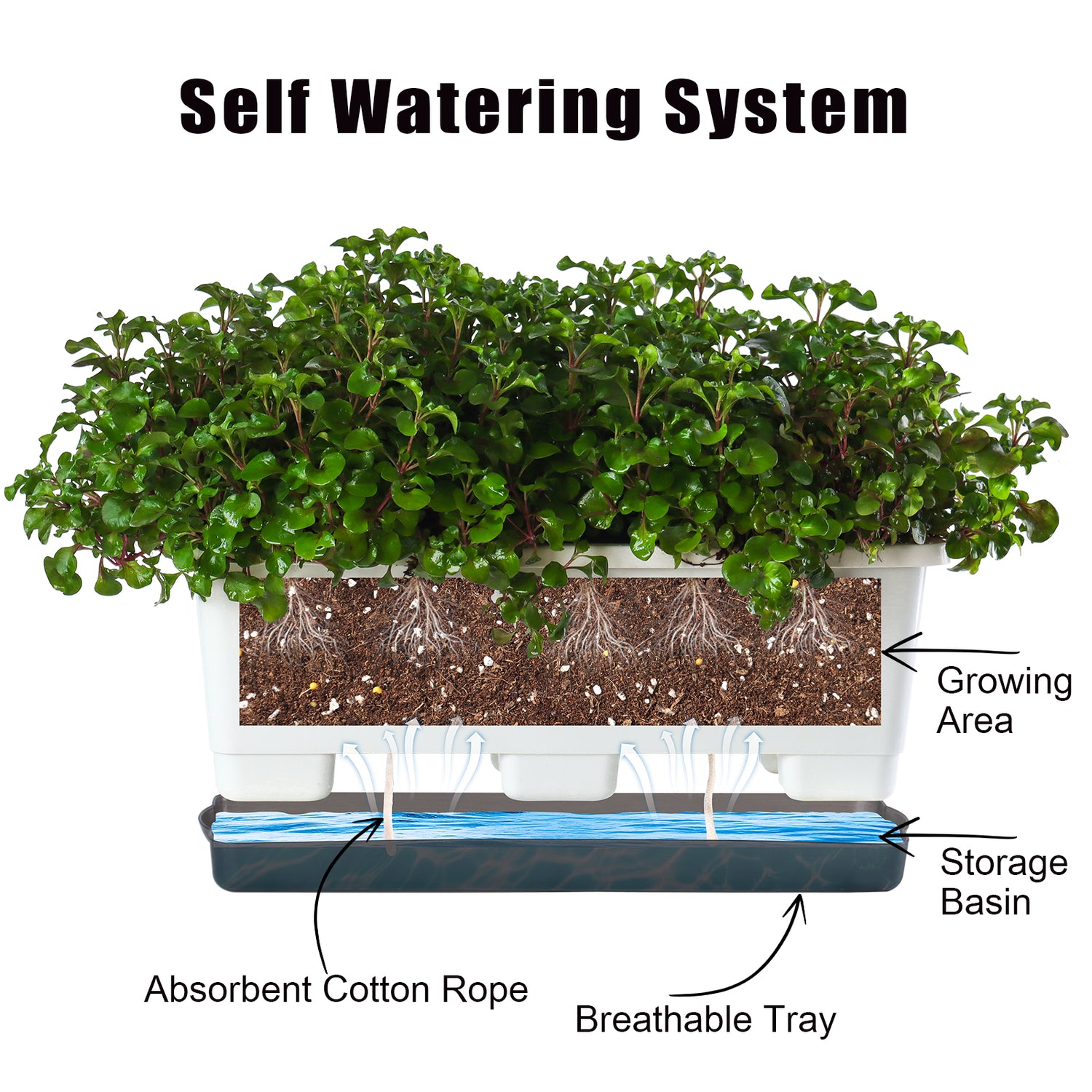 OLiz Window Box Planter 8 Pcs, 17 Inches Rectangle Flower Pots with Drainage Holes and Trays, Vegetable Planters for Windowsill Patio Garden Balcony Home Porch Yard Indoor Outdoor (White)--SC11