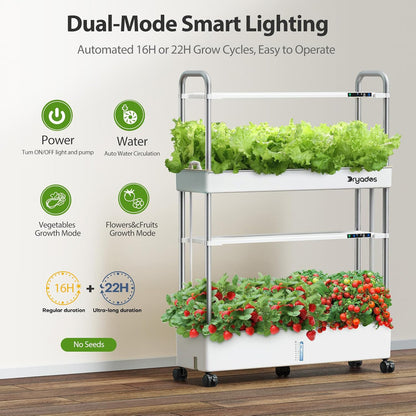 Dryades Large Hydroponics Growing System Kit, 60 Pods Vertical Hydroponic Garden with 2 Light Modes Grow Light, Auto Circulating Water System, 32L Indoor Gardening System for Herb Vegetable Fruit Z210-2P-WH