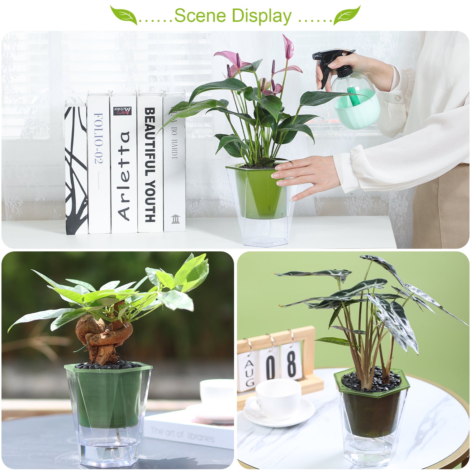 OLiz Self Watering Planter 5 Pcs, 4.5 Inch Flower Plant Pot with Transparent Inner Pot, Gardening Flowerpot with Watering Can, Indoor Self Watering Planter Pot for Herbs, Flowers (Green)/(White) U05