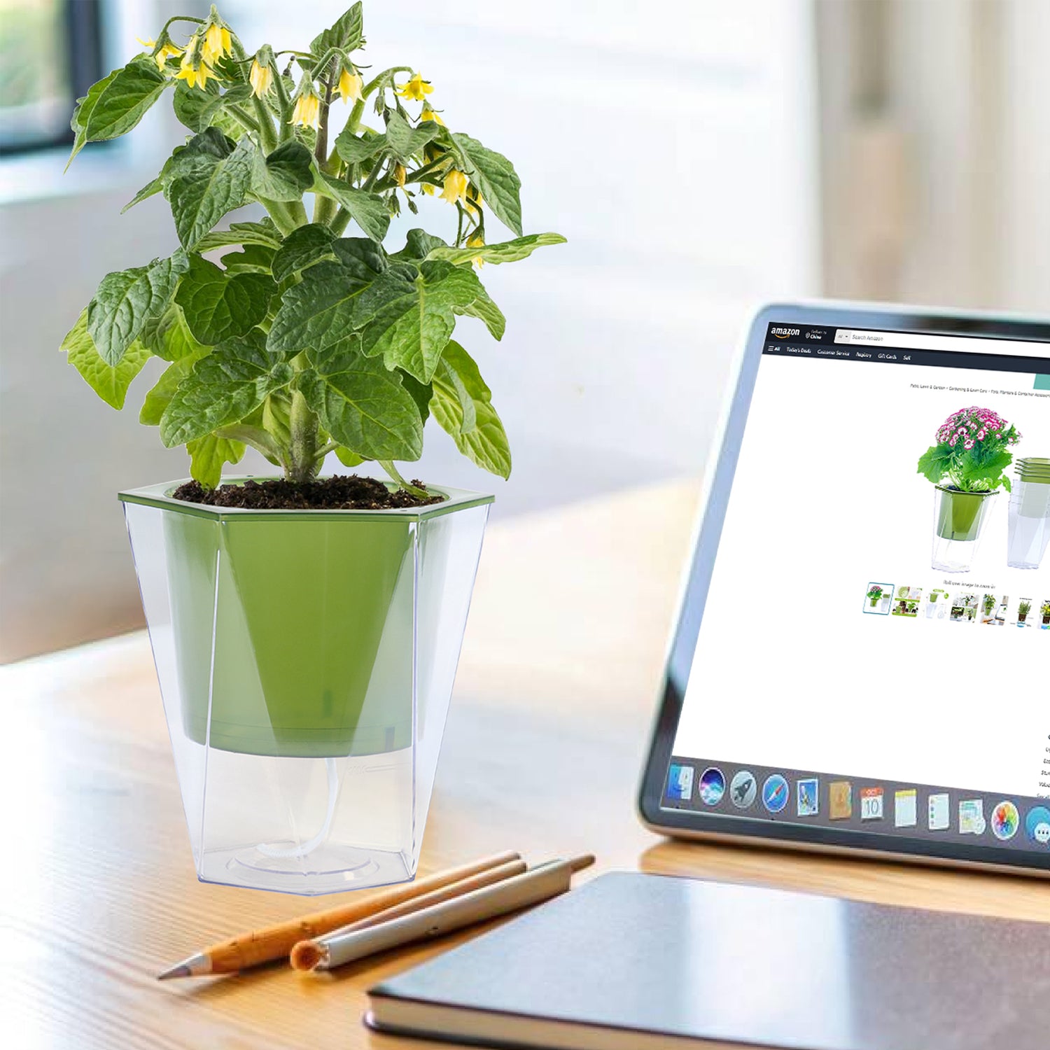 OLiz Self Watering Planter 5 Pcs, 4.5 Inch Flower Plant Pot with Transparent Inner Pot, Gardening Flowerpot with Watering Can, Indoor Self Watering Planter Pot for Herbs, Flowers (Green)/(White) U05