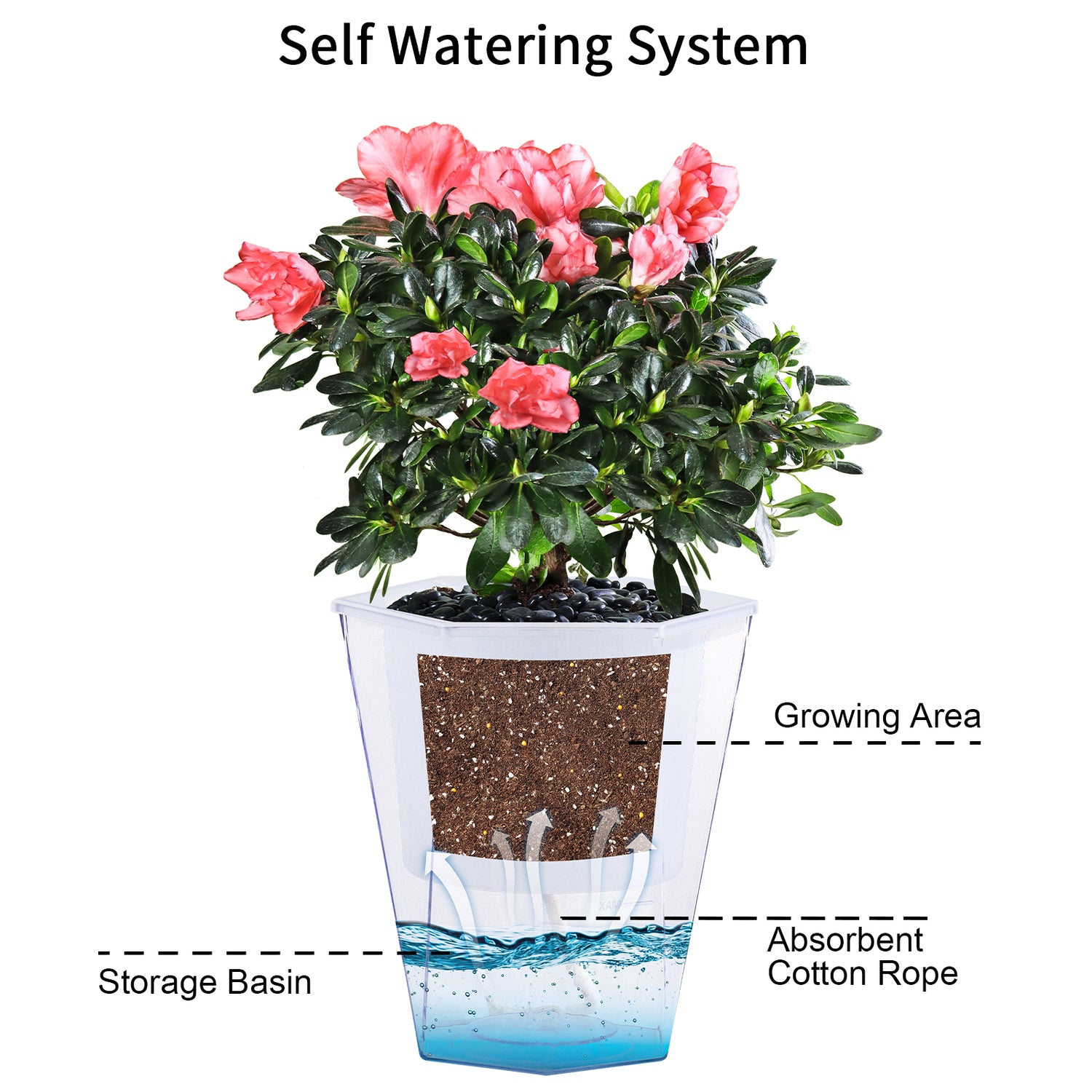 OLiz Self Watering Planter 5 Pcs, 4.5 Inch Flower Plant Pot with Transparent Inner Pot, Gardening Flowerpot with Watering Can, Indoor Self Watering Planter Pot for Herbs, Flowers (Green)/(White) U05