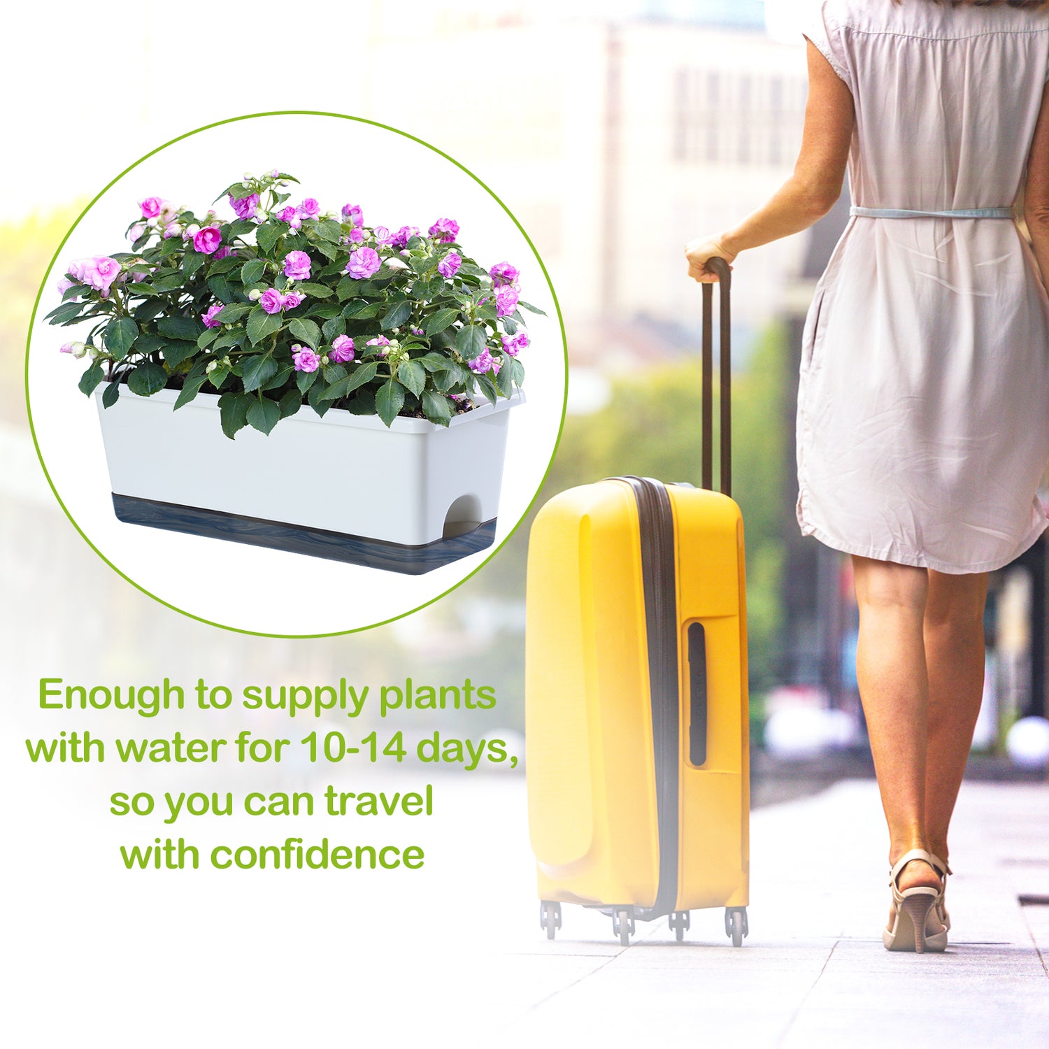 OLiz Window Box Planter 8 Pcs, 17 Inches Rectangle Flower Pots with Drainage Holes and Trays, Vegetable Planters for Windowsill Patio Garden Balcony Home Porch Yard Indoor Outdoor (White)--SC11