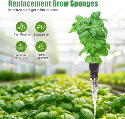 Dryades Hydroponic Grow Sponges with Seeds,Compatible with Aerogarden