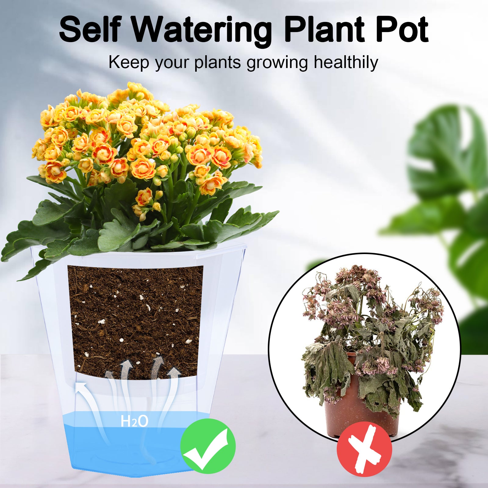 OLiz Self Watering Planter 5 Pcs, 4.5 Inch Flower Plant Pot with Transparent Inner Pot, Gardening Flowerpot with Watering Can, Indoor Self Watering Planter Pot for Herbs, Flowers (Green)/(White) U05
