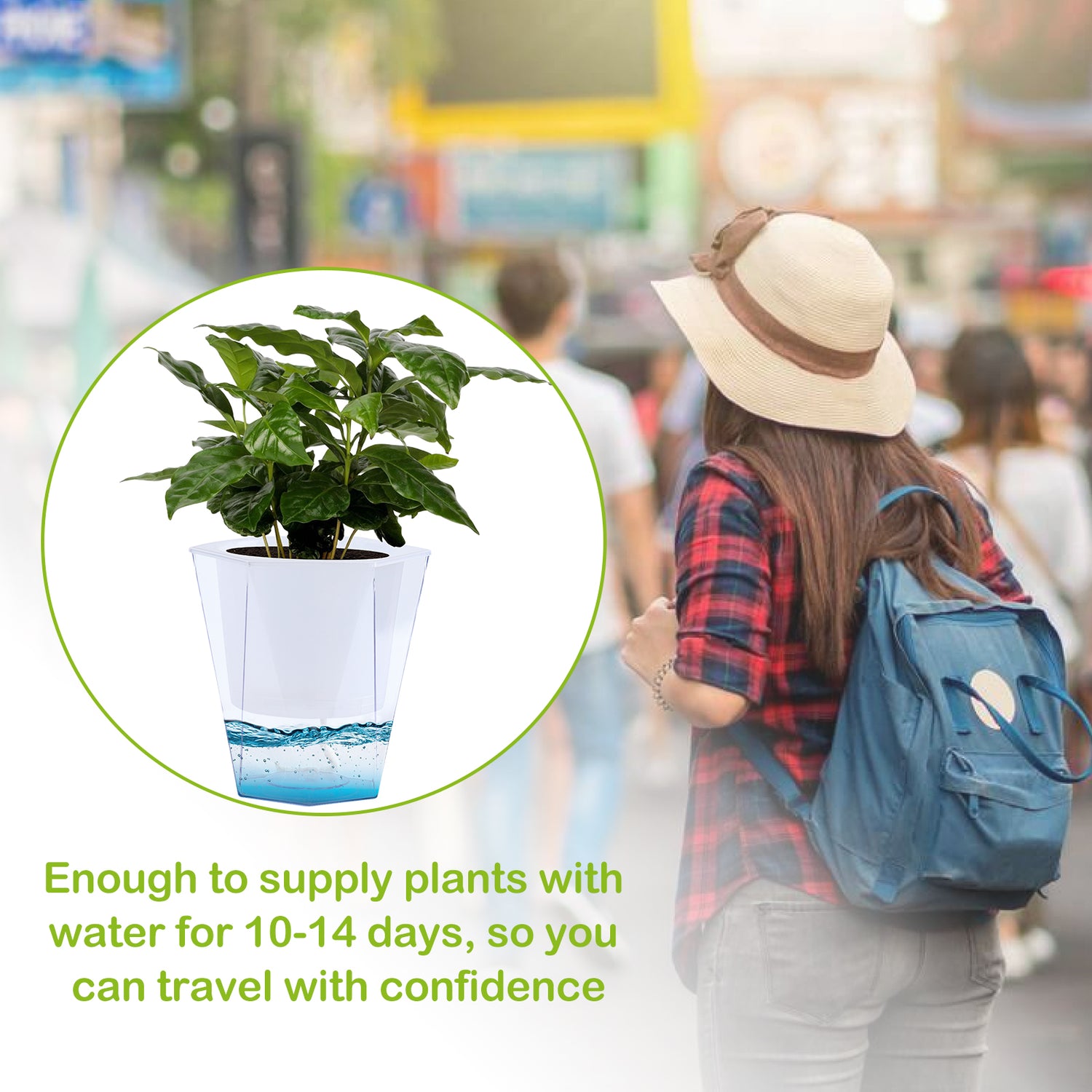 OLiz Self Watering Planter 5 Pcs, 4.5 Inch Flower Plant Pot with Transparent Inner Pot, Gardening Flowerpot with Watering Can, Indoor Self Watering Planter Pot for Herbs, Flowers (Green)/(White) U05