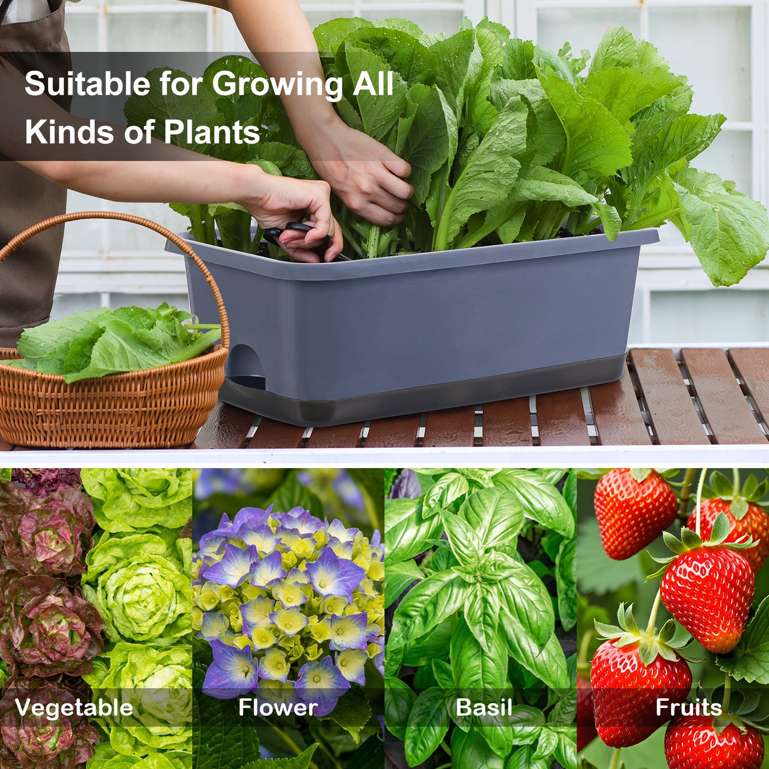 OLiz Window Box Planter 8 Pcs, 17 Inches Rectangle Flower Pots with Drainage Holes and Trays, Vegetable Planters for Windowsill Patio Garden Balcony Home Porch Yard Indoor Outdoor (Grey)--SC11