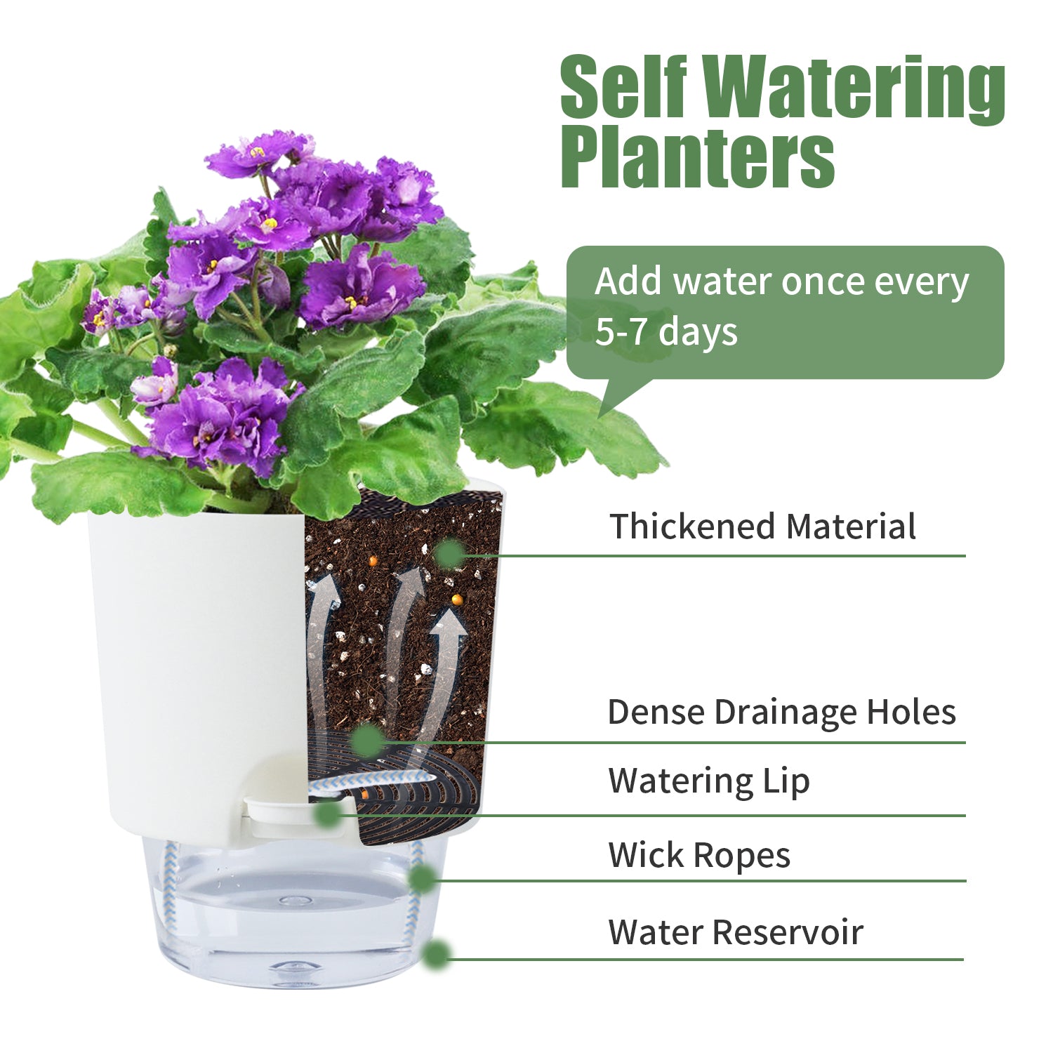 OLiz Plant Pots Indoor 3 Packs Self Watering Pots for Indoor Plants 4.9 inchs, African Violet Pots Planter with Visible Reservoir Self Watering Planter for Herb, House Plant Planting--A710