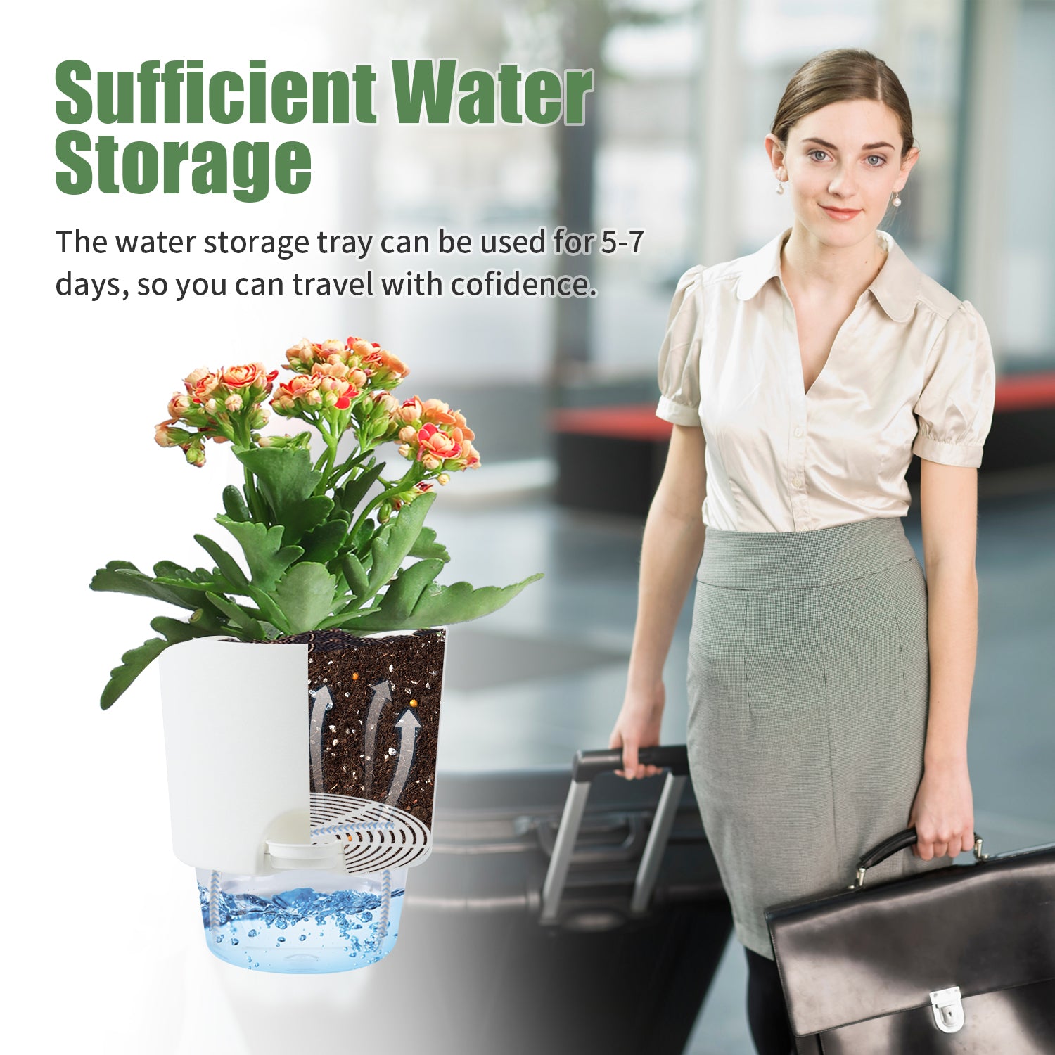 OLiz Plant Pots Indoor 3 Packs Self Watering Pots for Indoor Plants 4.9 inchs, African Violet Pots Planter with Visible Reservoir Self Watering Planter for Herb, House Plant Planting--A710