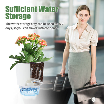 OLiz Plant Pots Indoor 3 Packs Self Watering Pots for Indoor Plants 4.9 inchs, African Violet Pots Planter with Visible Reservoir Self Watering Planter for Herb, House Plant Planting--A710