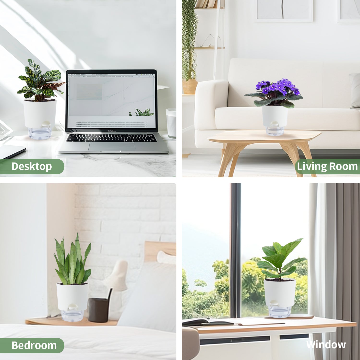 OLiz Plant Pots Indoor 3 Packs Self Watering Pots for Indoor Plants 4.9 inchs, African Violet Pots Planter with Visible Reservoir Self Watering Planter for Herb, House Plant Planting--A710