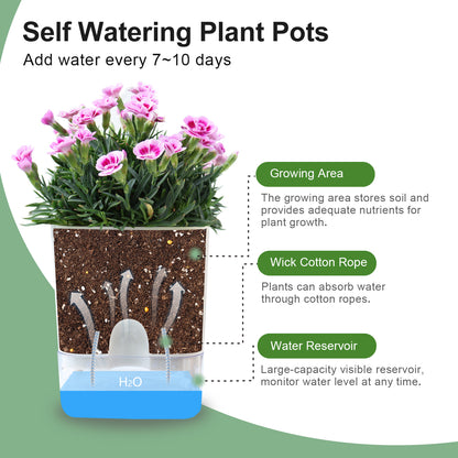 OLiz Plant Pots Indoor 2 Packs Self Watering Pots for Indoor Plants, African Violet Pots Planter with Visible Reservoir Self Watering Planter for Herb, House Plant Planting--G205 4.25 inches/ G207  5.5 inches