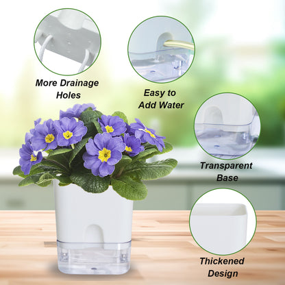 OLiz Plant Pots Indoor 2 Packs Self Watering Pots for Indoor Plants, African Violet Pots Planter with Visible Reservoir Self Watering Planter for Herb, House Plant Planting--G205 4.25 inches/ G207  5.5 inches