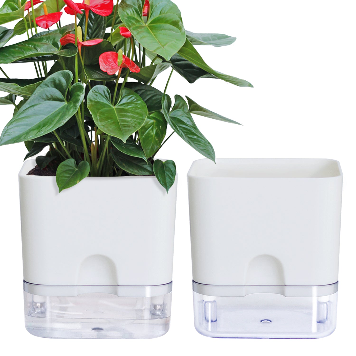 OLiz Plant Pots Indoor 2 Packs Self Watering Pots for Indoor Plants, African Violet Pots Planter with Visible Reservoir Self Watering Planter for Herb, House Plant Planting--G205 4.25 inches/ G207  5.5 inches