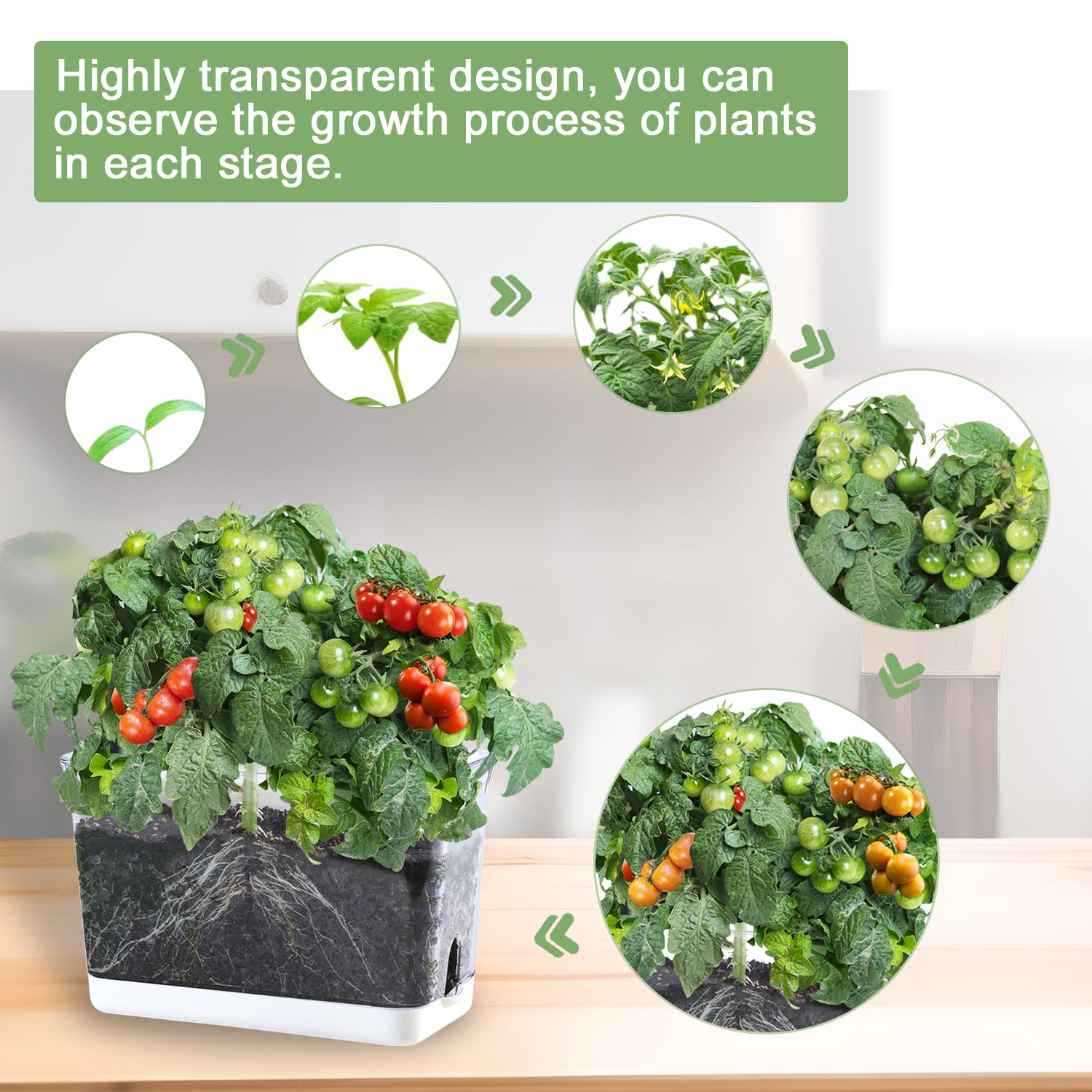 OLiz Self Watering Planter, Rectangular Self-Watering Clear Planters Box for Devil&