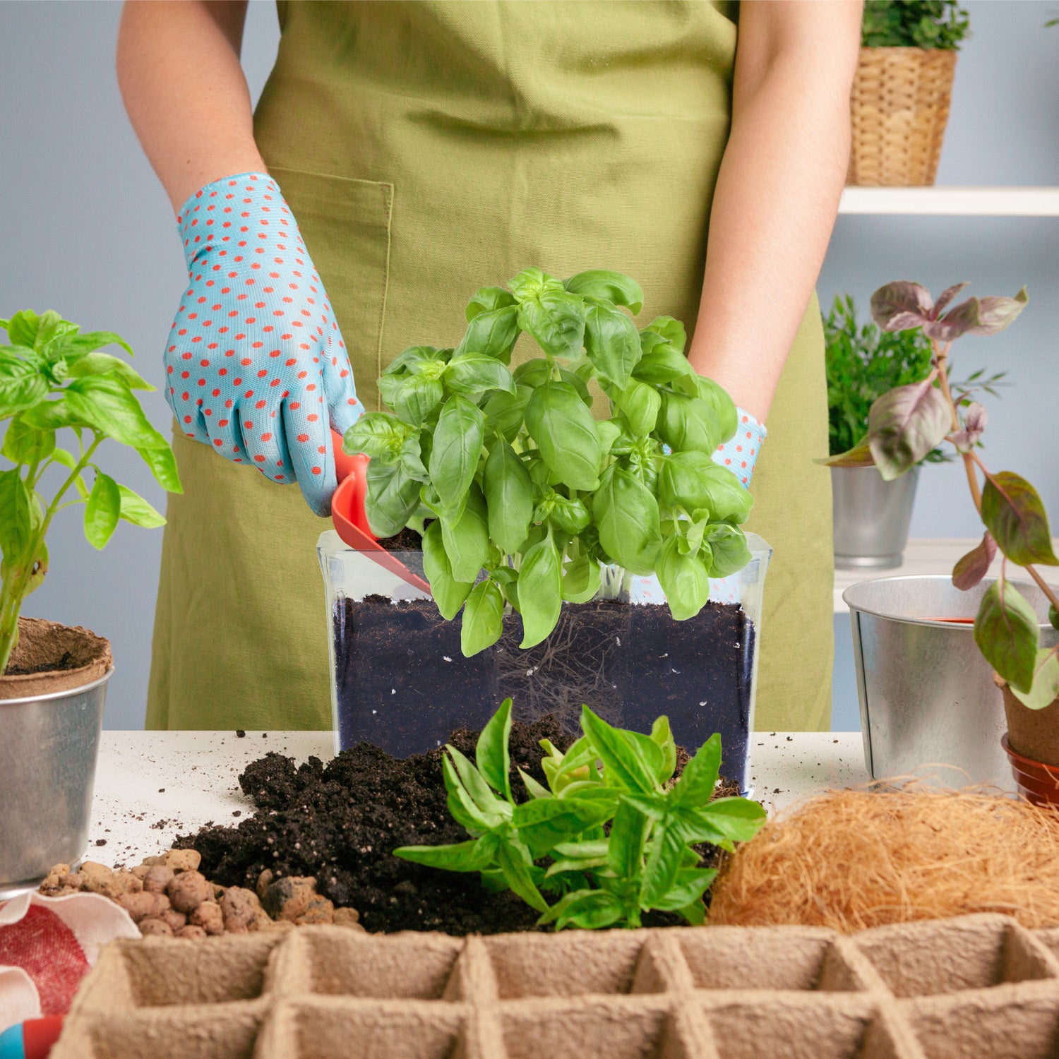 OLiz Self Watering Planter, Rectangular Self-Watering Clear Planters Box for Devil&