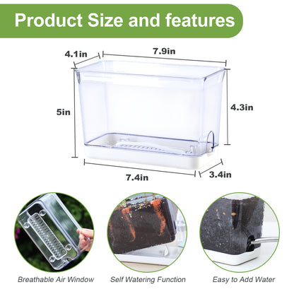 OLiz Self Watering Planter, Rectangular Self-Watering Clear Planters Box for Devil&