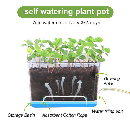 OLiz Self Watering Planter, Rectangular Self-Watering Clear Planters Box for Devil&