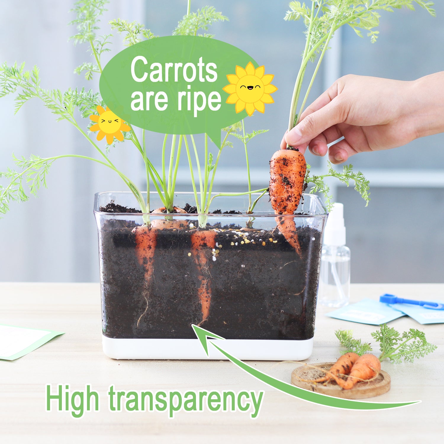 OLiz Self Watering Planter, Rectangular Self-Watering Clear Planters Box for Devil&